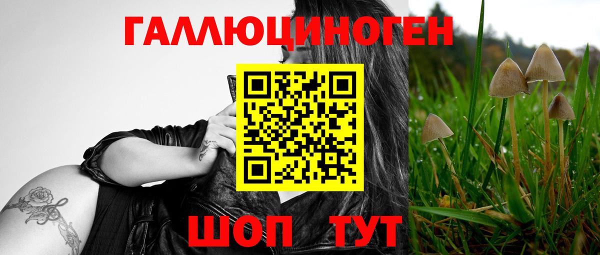 Сегежа  Галлюциногенные грибы Magic Shrooms  Вход с VPN 